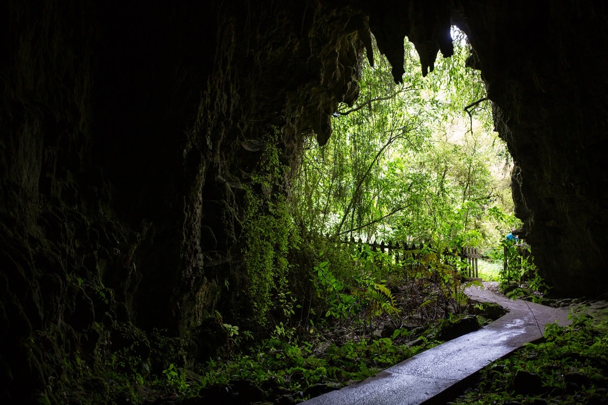 Waitomo Grotten Découverte des grottes de Waitomo en Nouvelle-Zélande : guide de visite